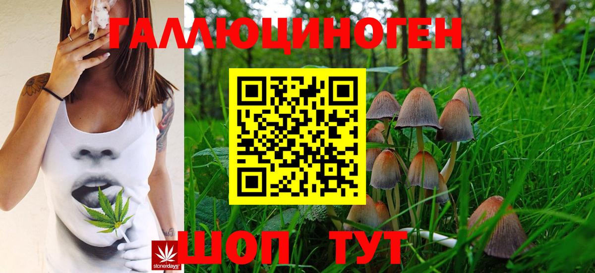 цены наркотик  Псилоцибиновые грибы Psilocybine cubensis  Вход с VPN  Тихвин 