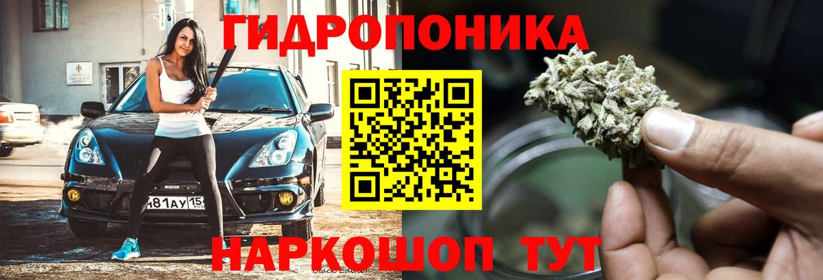 Конопля OG Kush Тихвин